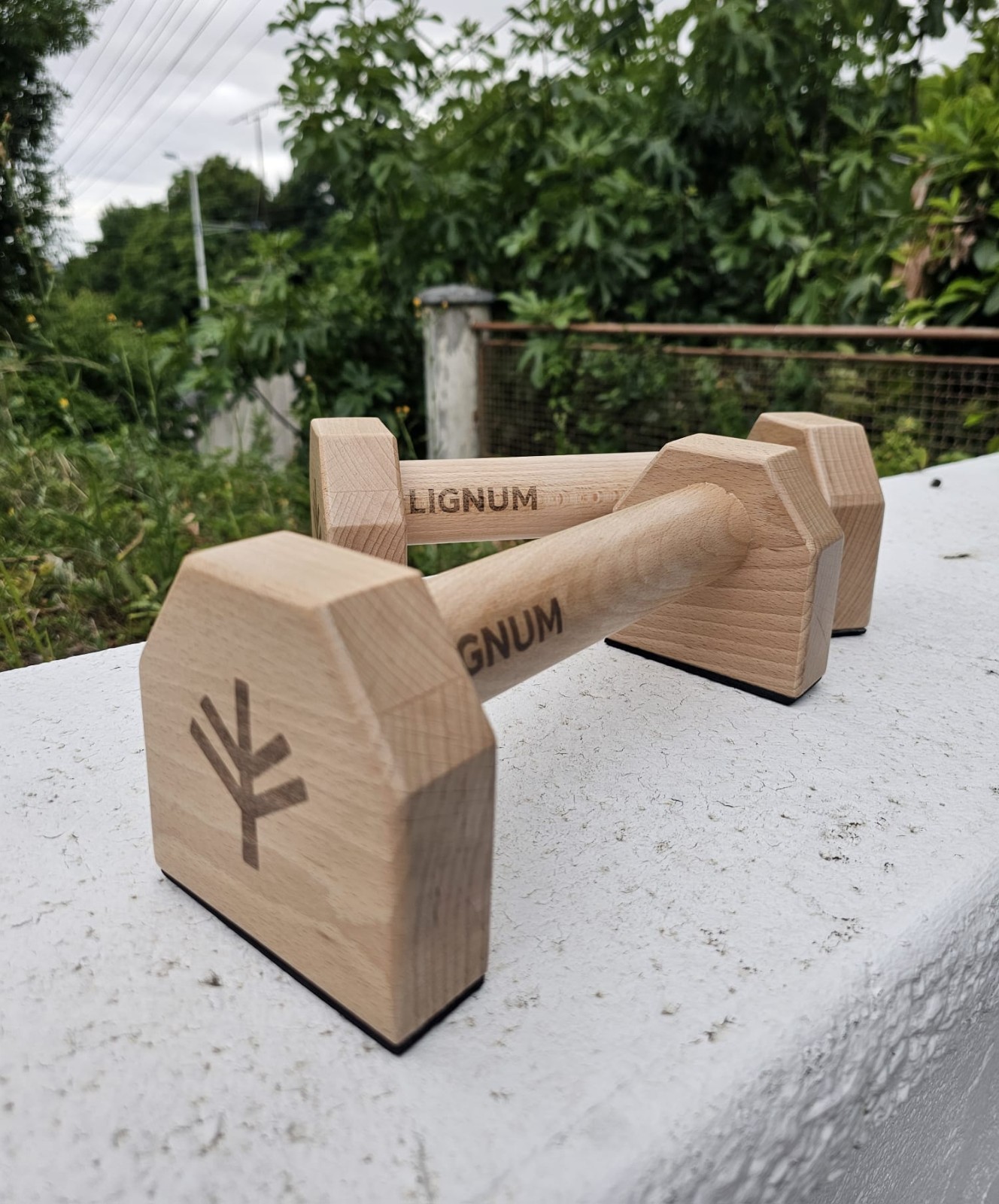 Parallettes en bois de callisthénie compactes pour s'entraîner chez soi