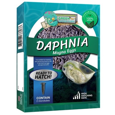 Dapnia Magna Eggs Live Fish Food for Hatching and Culture