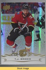 2018-19 Upper Deck Speckled Rainbow Foil TJ Brodie #30 READ 8eo