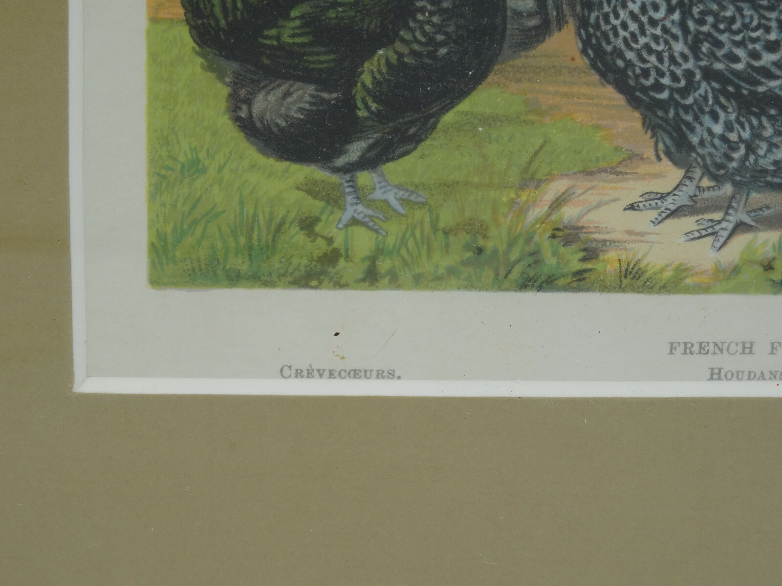 Picture 10 of 12