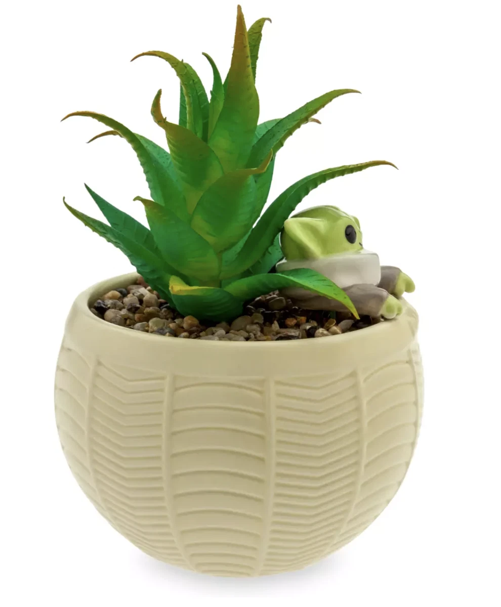 Star wars 2025 succulent planter