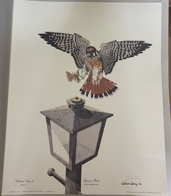 Kentucky Artist Gene Gray Hand Signed '76 Print “Sparrow Hawk