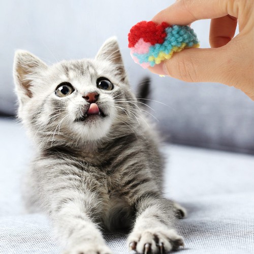 15 Stück Plüschball Spielzeug Katze Puffbälle Kätzchen Haustier Spielzeug - Bild 11 von 12