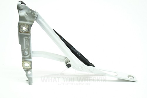 VGC: GENUINE GM VE WM SEDAN BOOT LID HINGE & GAS STRUT - RIGHT RH RHR - WHITE - Picture 4 of 5