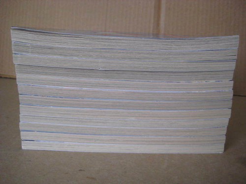 Magic Tree House "MERLIN MISSION" Books by Mary Pope Osborne (sequence 1 - 12) - Picture 11 of 12