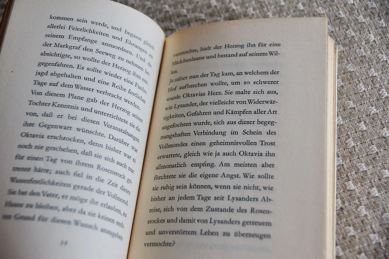 Bild 2 von 2