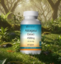 Astragalus Extract Capsules 4500mg Per Serving - Fresh Stock