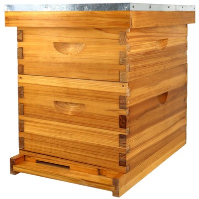 8 Frame Bee Hive Complete Beehive Kit Beeswax Coated Include Frames and Found...