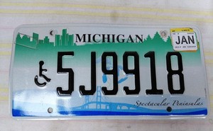 Michigan Spectacular Peninsulas Handicapped License Plate 5J1198