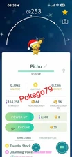Pokemon Shiny Pichu with Santa hat (Tr.a.d.e 20k stardust or P.T.C mini)