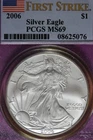 2006 ICG MS69 AMERICAN SILVER EAGLE #B51724