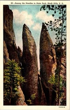 Black Hills South Dakota SD : NATURE SCENE d/13 AV8805