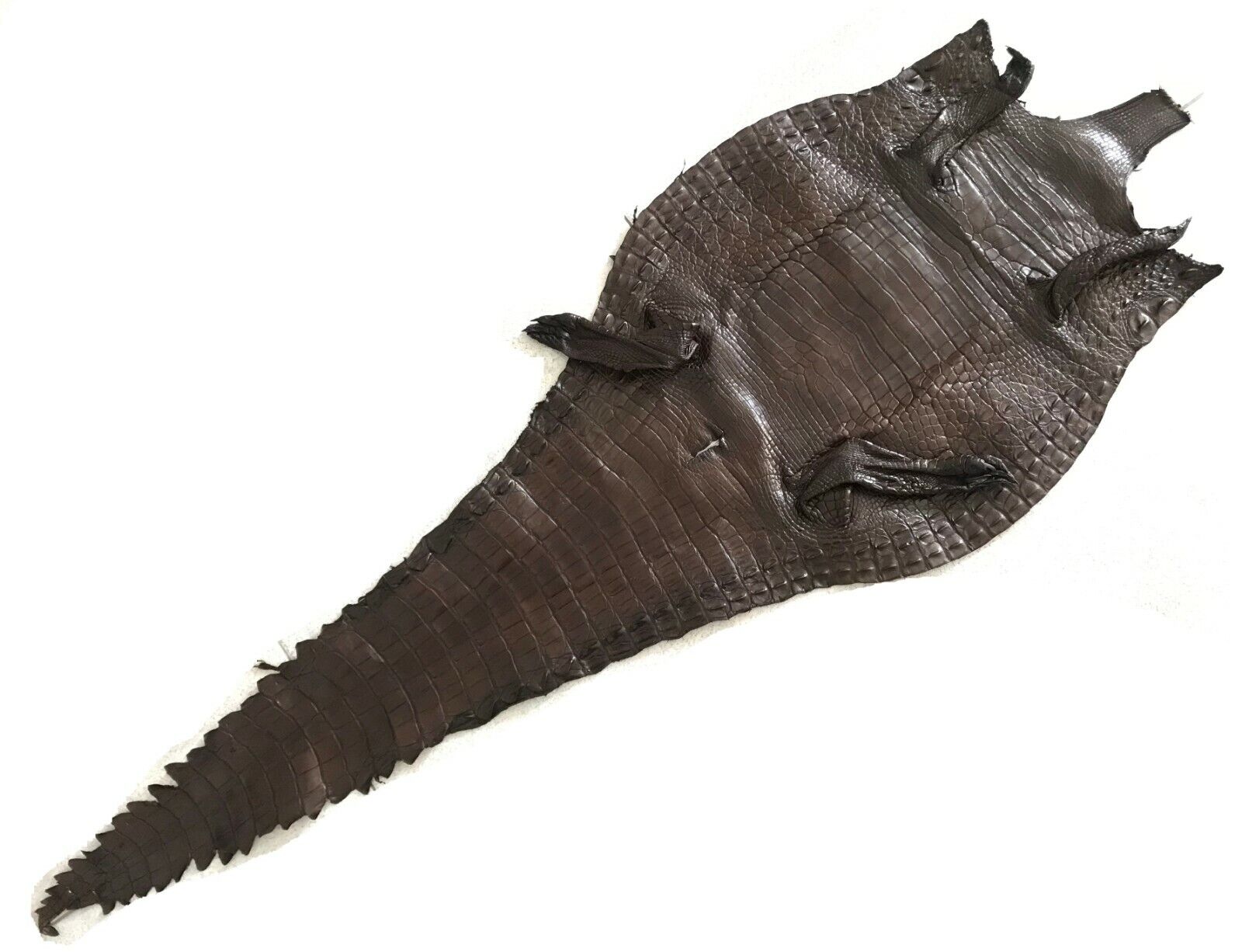 Genuine Real Crocodile Alligator Skin Leather Hide Exotic Pelt taxidermy Craft Hoog gewaardeerd