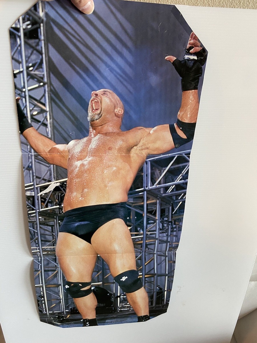 Bill Goldberg 2 Sided Vintage WCW WWE WWF Poster Wrestling | eBay