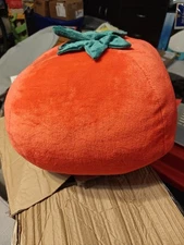 SU6- NEW Room Essentials Shaped Plush Tomato Pillow Tomato Red