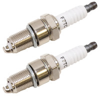 ZüNdkerze 2X FüR RasenmäHer Einhell GC-PM 56/2 S Hw, GC-PM 46/2 S HW-E, Bm 51