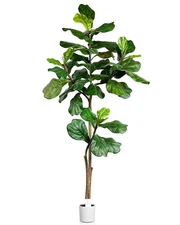 Artificial Fiddle Leaf Fig Tree Indoor, 6ft Faux Fiddle Leaf Tree with Decora...