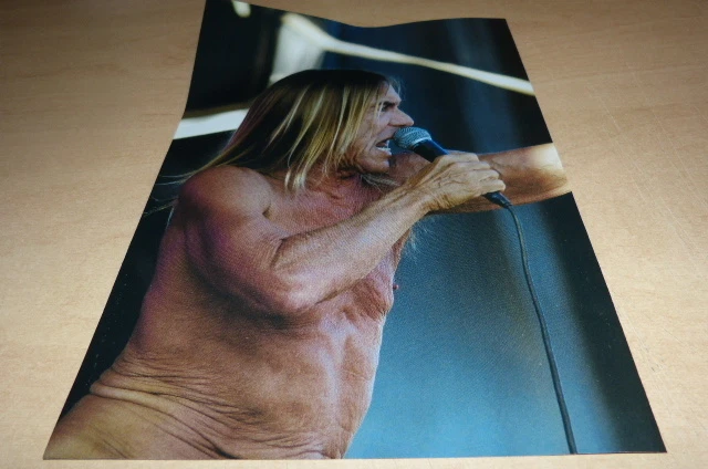 IGGY POP !!!!!!!!!!!!!!!!!!2013 !!!FRENCH!!!! Mini poster !!! - Photo 1/1