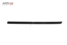 2019 - 2025 GENESIS G70 FRONT LEFT DOOR WINDOW INNER BELT WEATHERSTRIP SEAL OEM