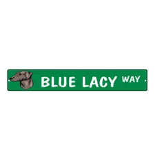 Green Aluminum Weatherproof Road Street Signs Blue Lacy Dog Way Home Decor Wall