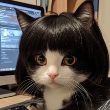 Pet Wig   Fun Halloween Dog  Cat Wig with Curly or Straight Hair