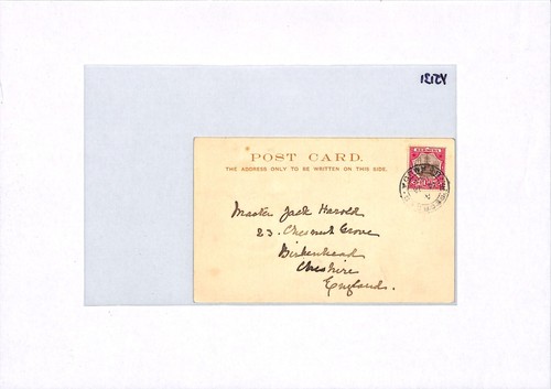 BERMUDA Postcard PPC Undivided Back CART Vignette 1904 HORSES {samwells}YJ131 - Picture 12 of 12