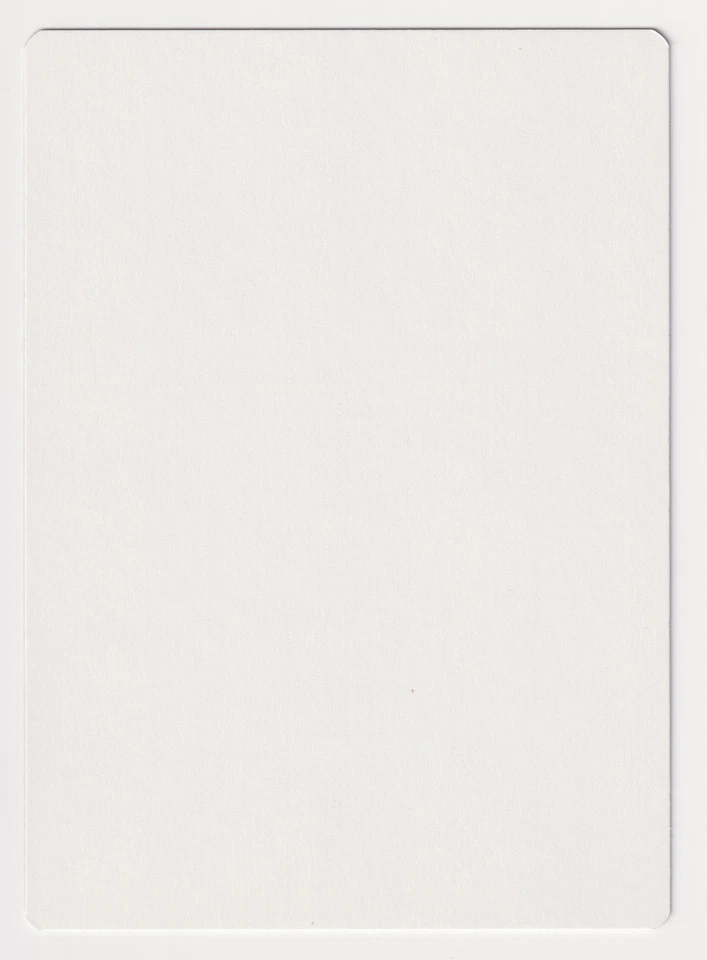 Signed Raging Spirit Proof LP Mirage Artist Scott M. Fischer 1996 MTG Magic AP! - Image 2 of 2