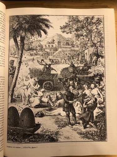BIBLIOTHECA BOTANICA - LODOVICO CALDESI erbario e libri dal cinquecento al 700 - Foto 11 di 20