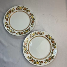Vintage Franciscan China Pickwick Set Of 2 Dinner Plates Japan Retired 1971 SetB