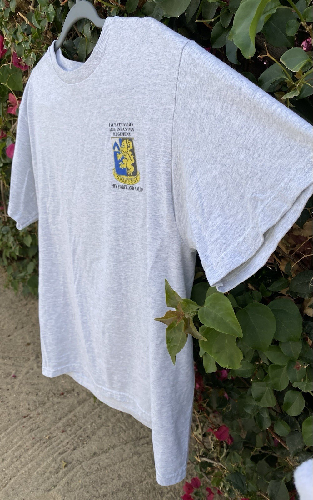 Dragoons Basic Combat Training Charlie War Pigs T… - image 11