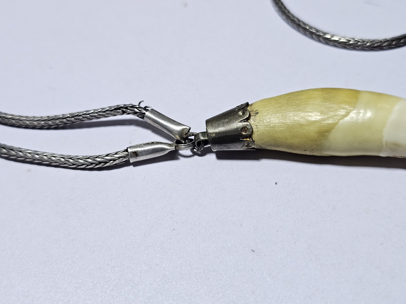 Silver Curiosity Necklace - image 5