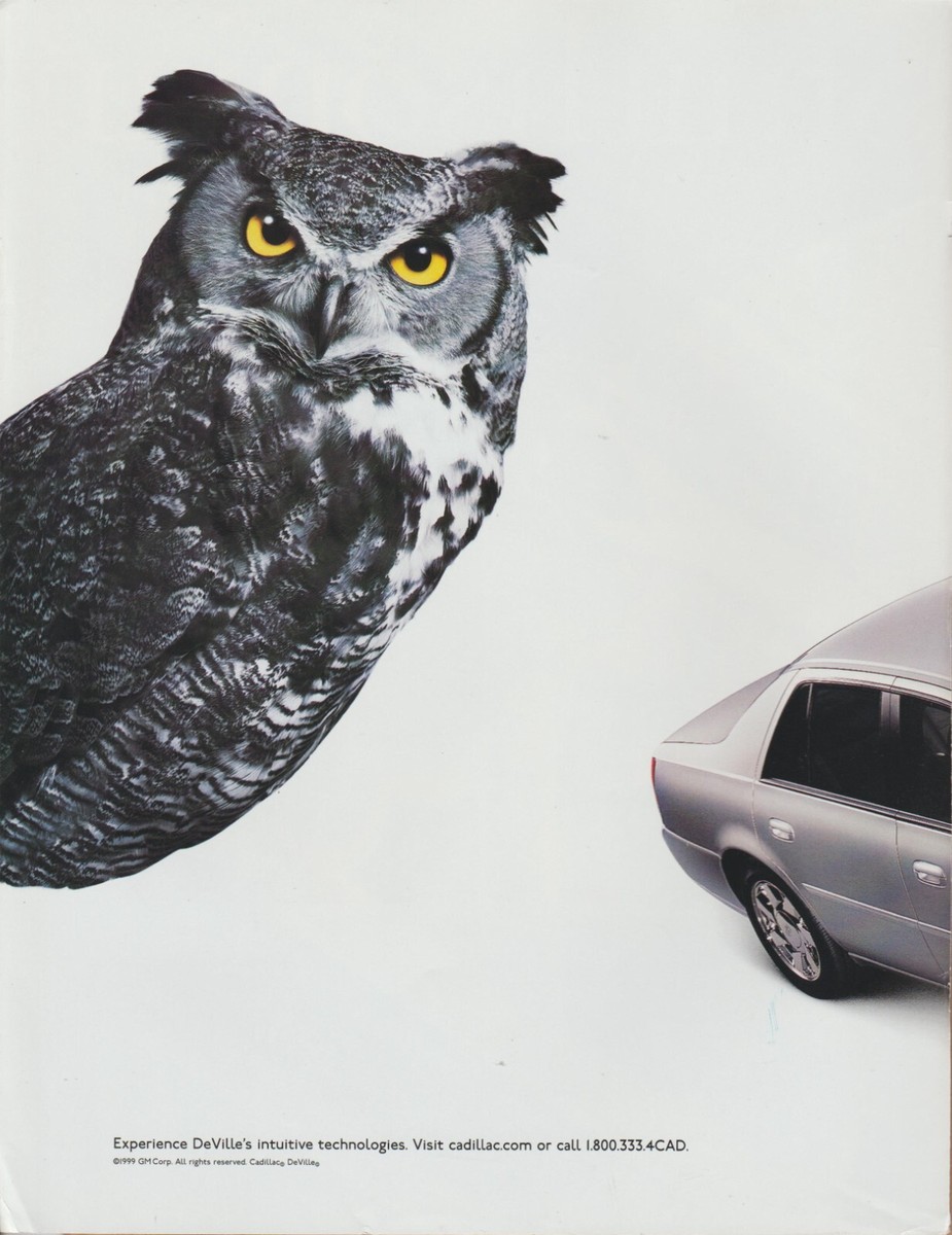2000 Cadillac DeVille DTS - Owl 