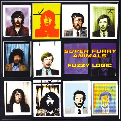 Super Furry Animals Fuzzy Logic Records & LPs New