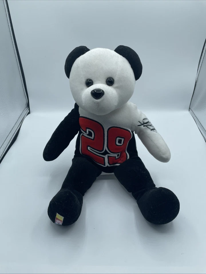 NASCAR TEAM SPEED BEARS 29 Kevin Harvick Foto 2 de 4