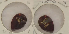 TOTO - VINTAGE OLD STEVE LUKATHER "HOW'S MY HAIR" CONCERT TOUR GUITAR PICK