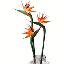 3Pcs Artificial Bird of Paradise Flowers 24.5'' Long Stem Strelitzia Decor