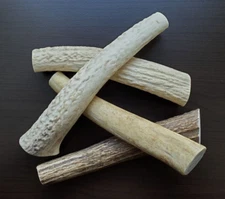 Antler Dog Chew Treat Premium Grade A Organic USA Elk Antler *1 Piece* MEDIUM