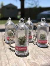 Supreme Cactus Keychain