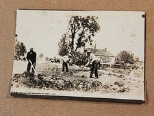 1920s Or 1930s African American Cotton / Crop Field Workers Photo
