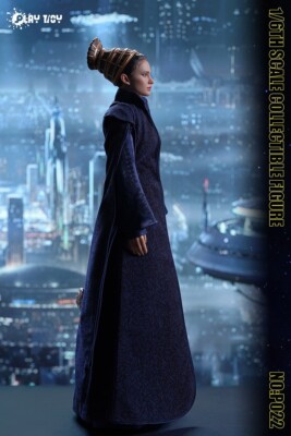 PLAY TOY 1/6 Galaxy Senator Action Figure P022 | eBay