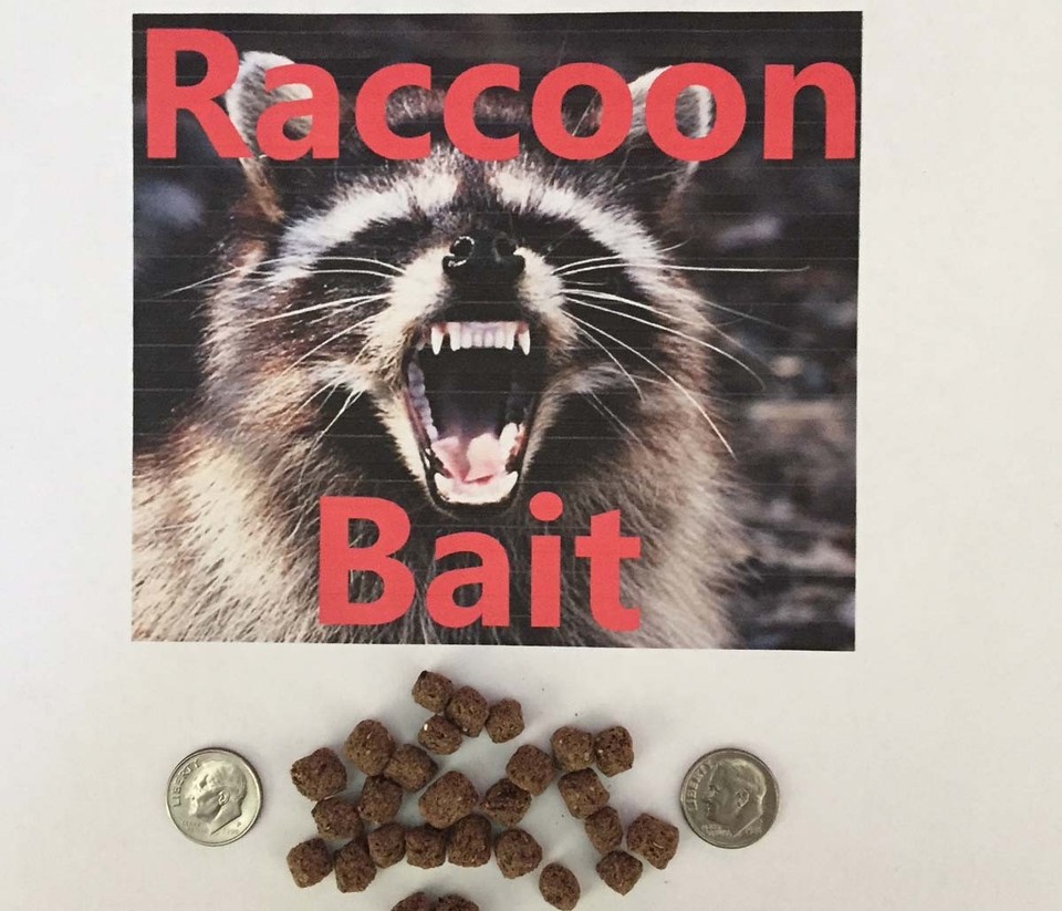 3 lbs. Coon Raccoon bait lure for DP Dog Proof traps and live traps | eBay