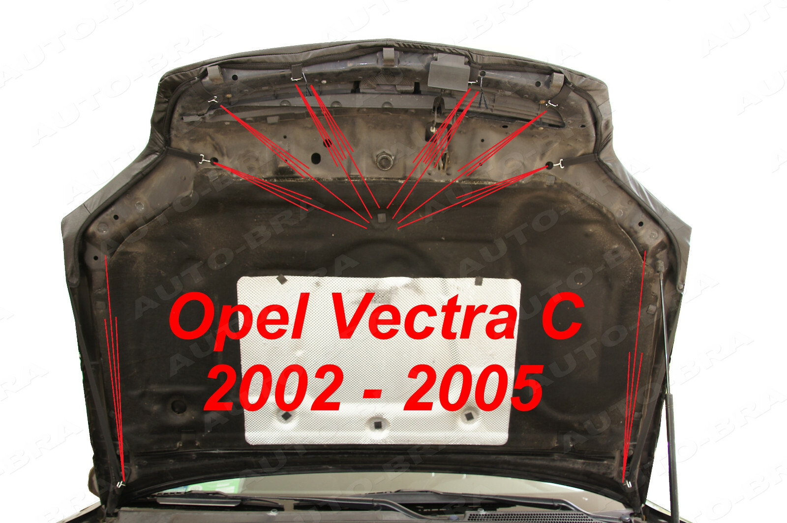 Foto 5 di 6