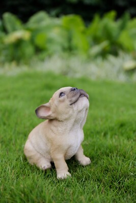 Howling French Bulldog Puppy Garden Statue Tabletop Display Yard Decor