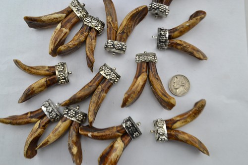 12 PCS HANDMADE BUFFALO HORN TOOTH TEETH CAPPED PENDANT - Picture 4 of 4