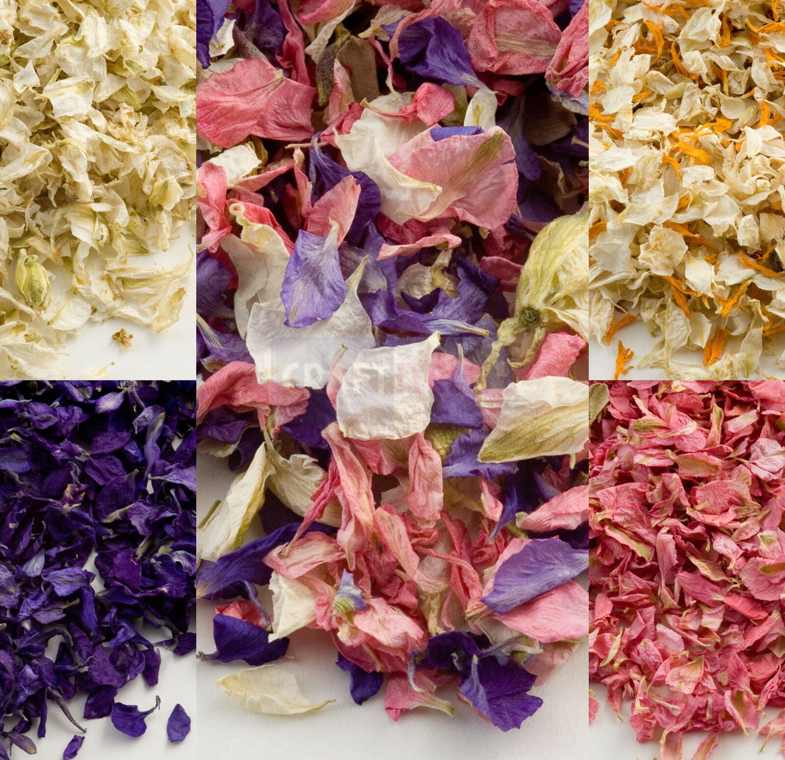 Dried Flowers for Natural Wedding Confetti Biodegradable Real Dry Eco