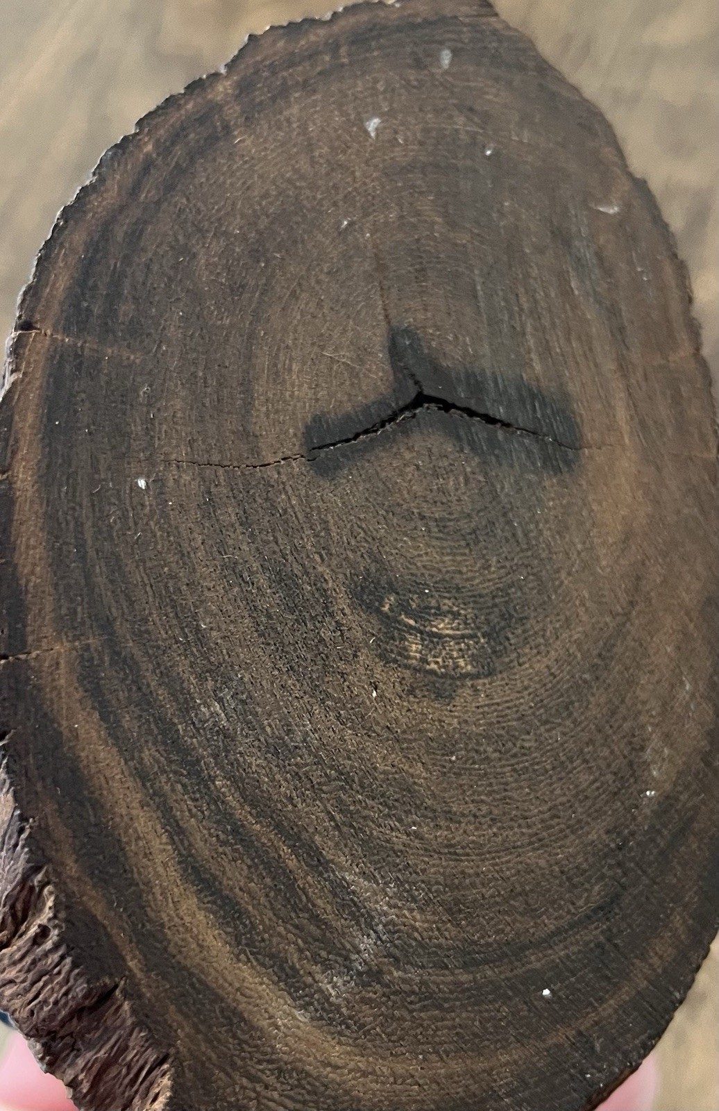 Vintage Carol Sues Silver & Turquoise Kachina Figure Native American