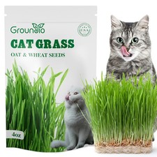 Indoor Cat Grass Seeds 4 oz Wheat Oat Mix for Cats Pet Grass Plant Kit