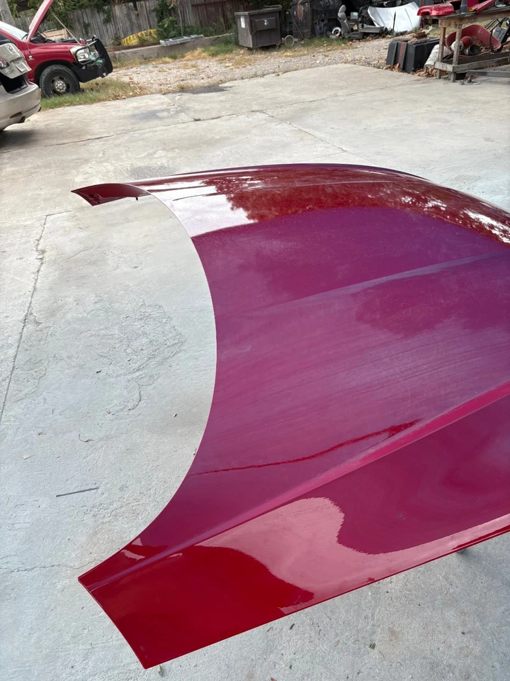 2018 2019 2020 2021 2022 2023 AUDI A5 S5 RS5 CAPÓ DELANTERO OEM SOLO RECOGIDA Foto 4 de 4