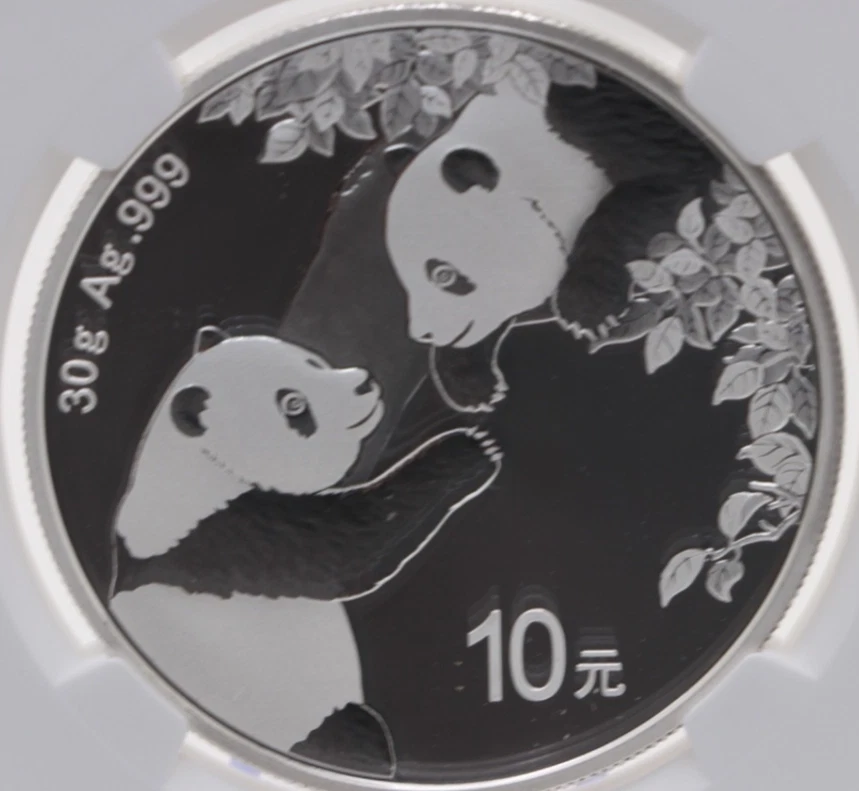 Panda de plata chino MS-70 NGC S10Y chino-como nuevo uno de los primeros 20.000 acuñados 40 Foto 3 de 4