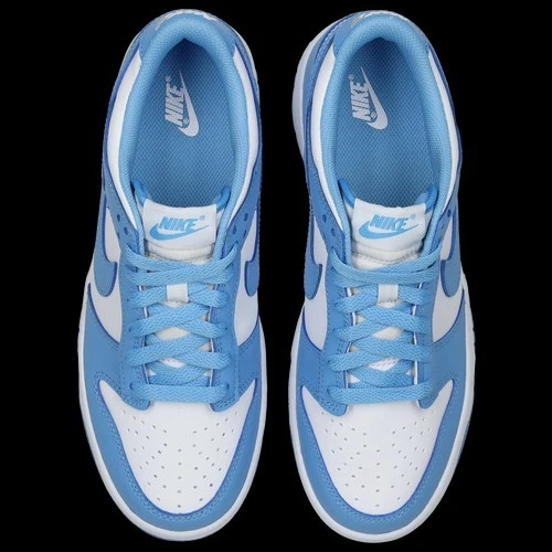 Nike Dunk Low Retro University Blu Bianco